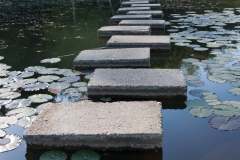 Stepping Stone Paths in the Water